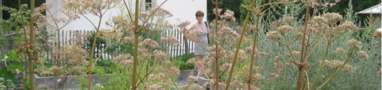 IMG 7673